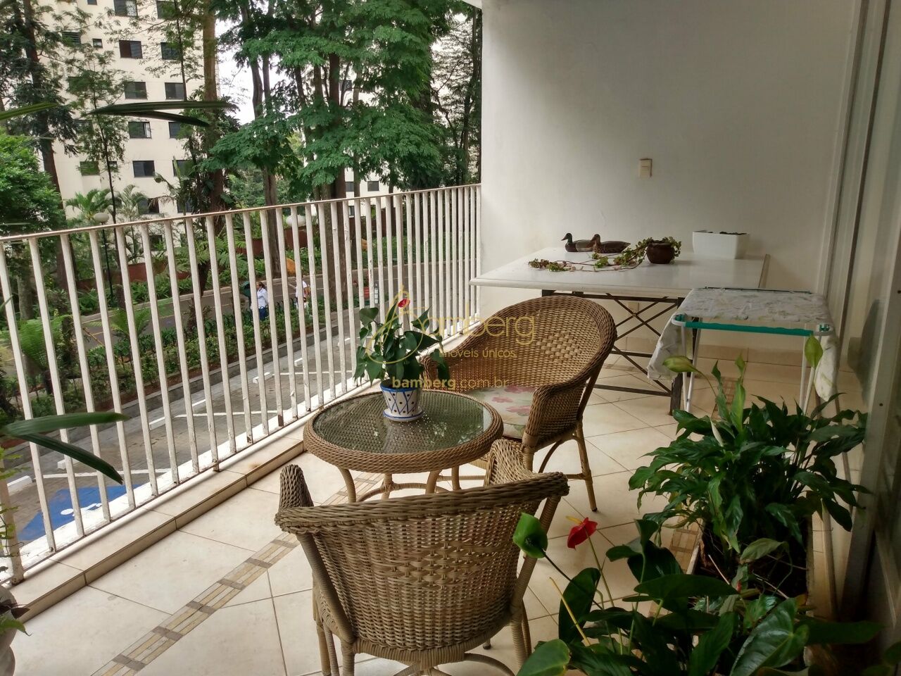 Morumbi / São Paulo