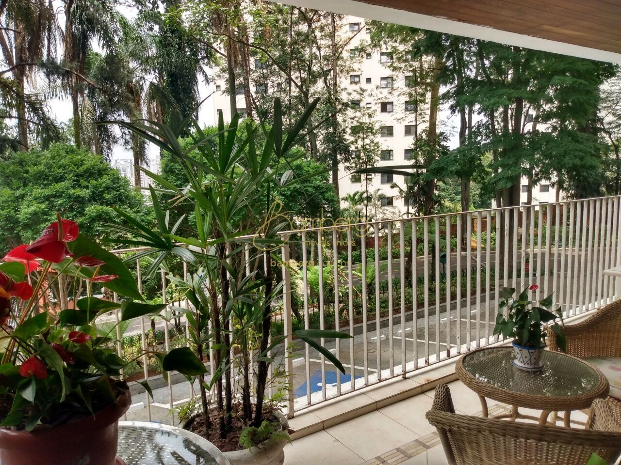 Morumbi / São Paulo