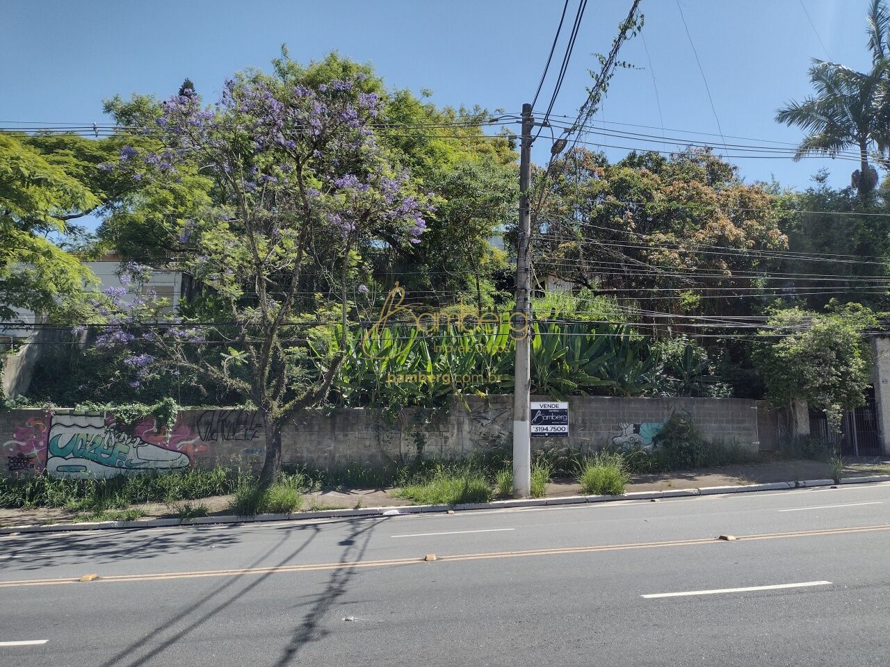 Morumbi / São Paulo