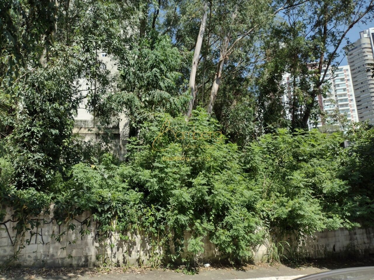 Vila Andrade / São Paulo