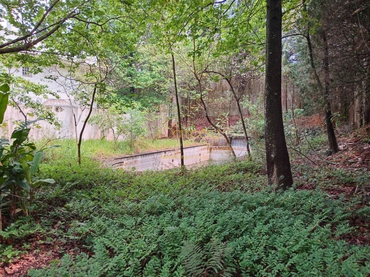 Terreno no bairro Morumbi - São Paulo