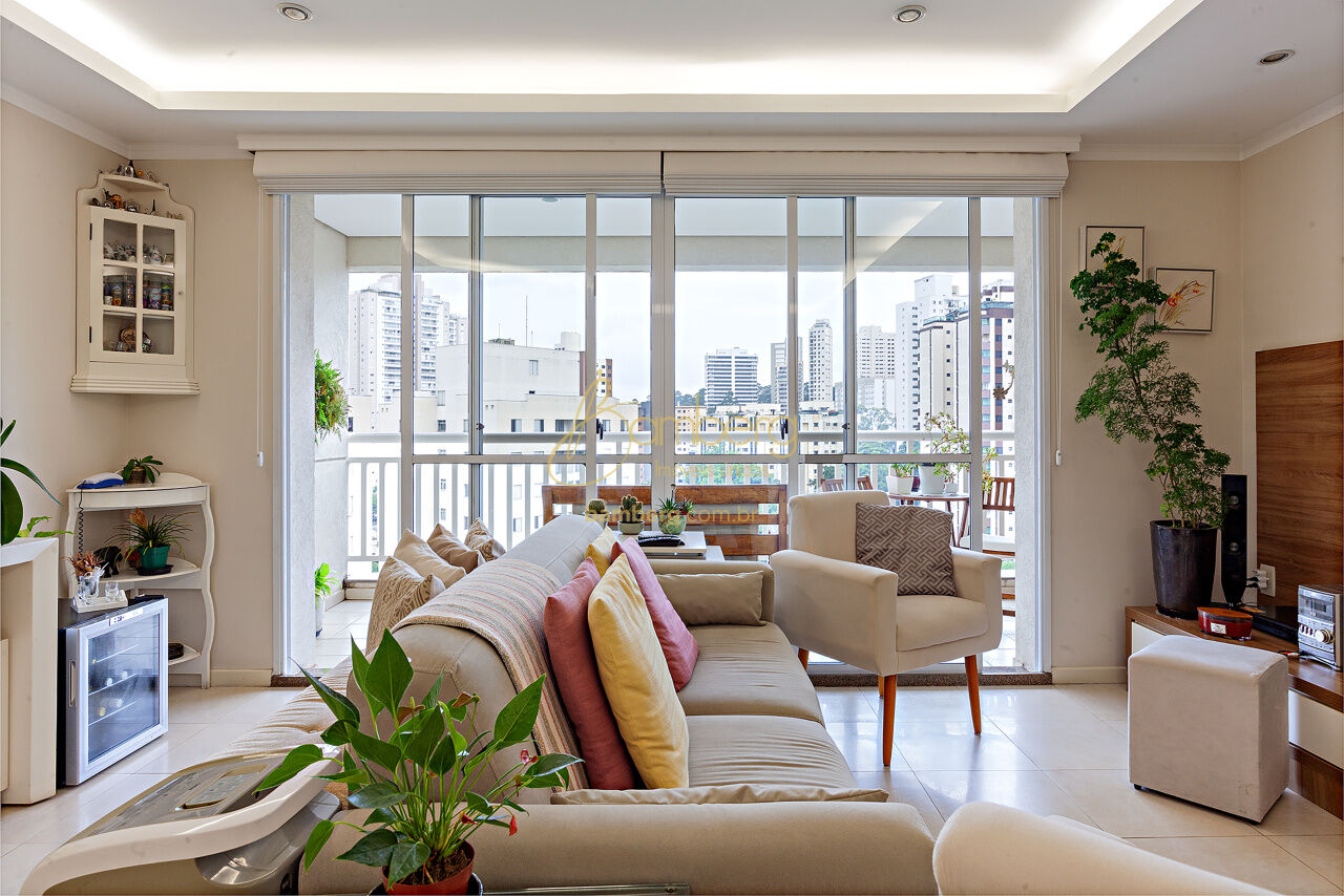 Morumbi / São Paulo