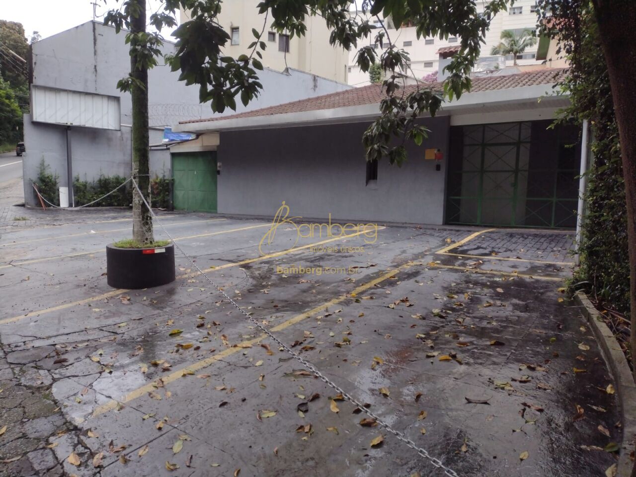 Comercial no bairro Vila Suzana - São Paulo