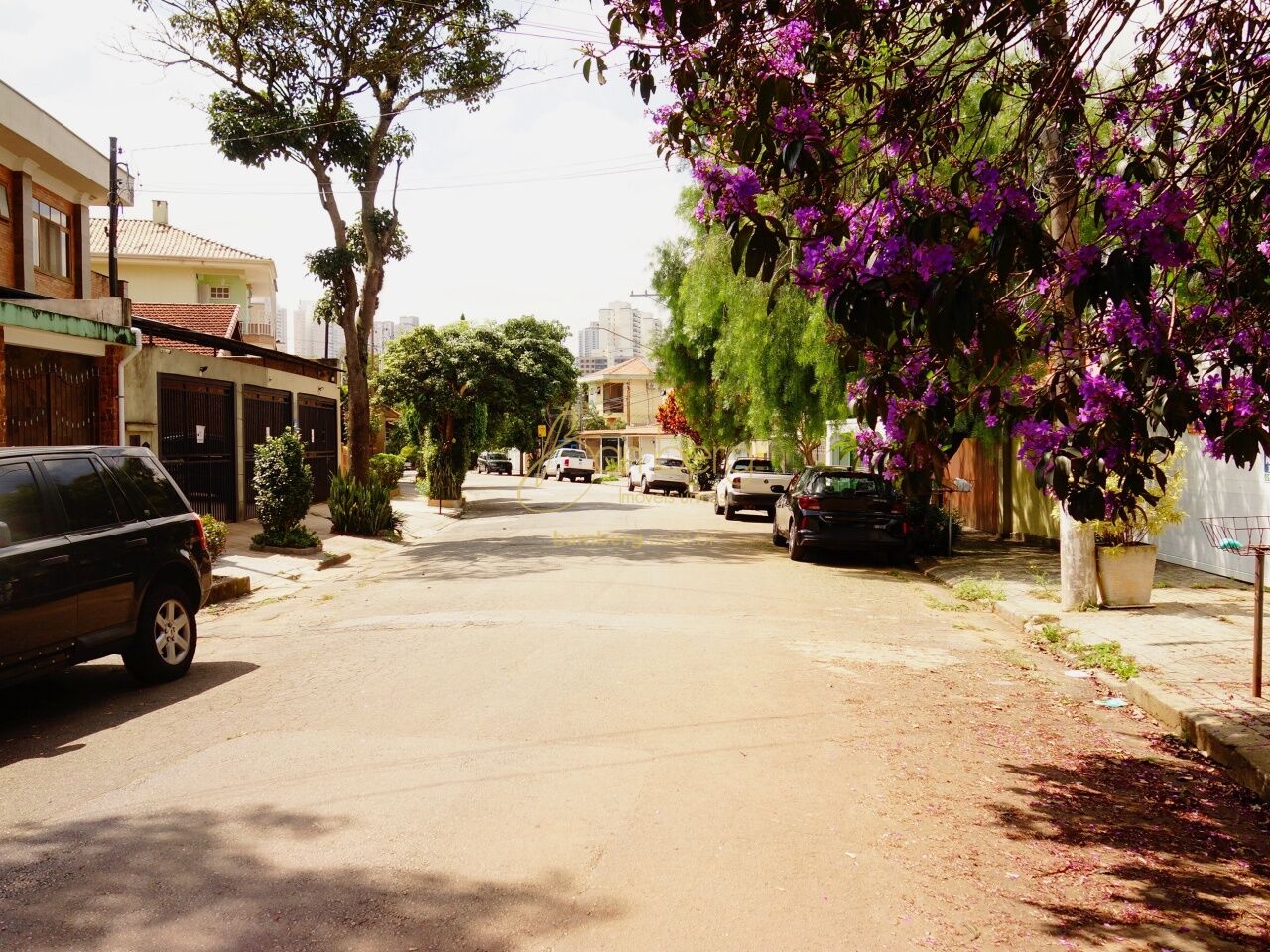 Jardim Londrina / São Paulo