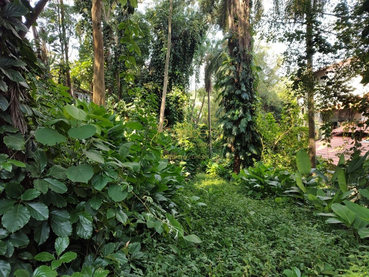 Jardim Vitória Régia / São Paulo