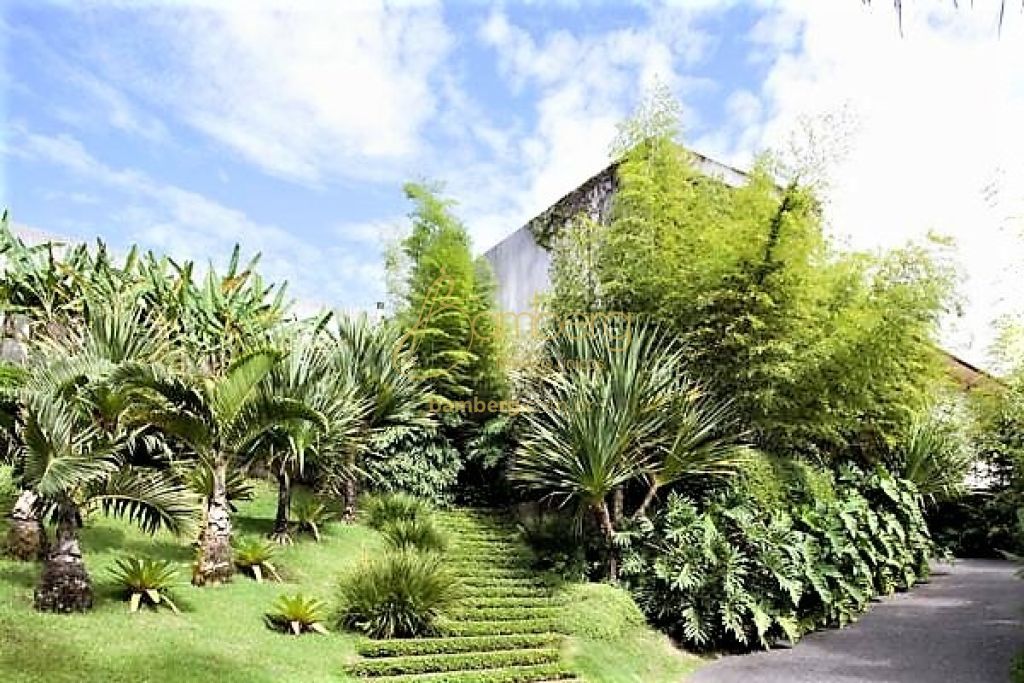 Vila Tramontano / São Paulo