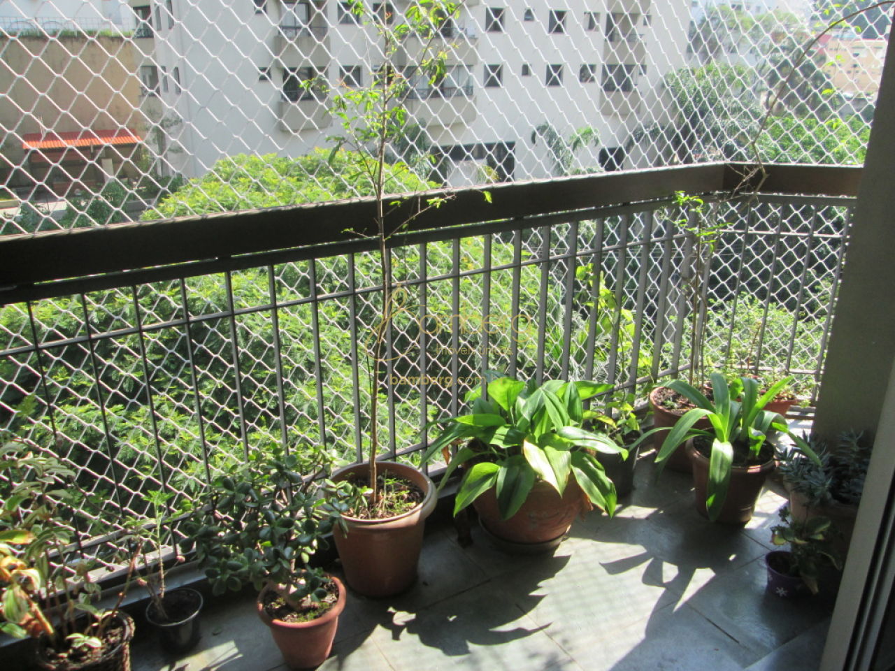 Apartamento no bairro Vila Andrade - São Paulo