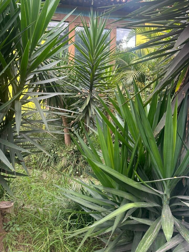 Terreno para Venda - Santo Amaro