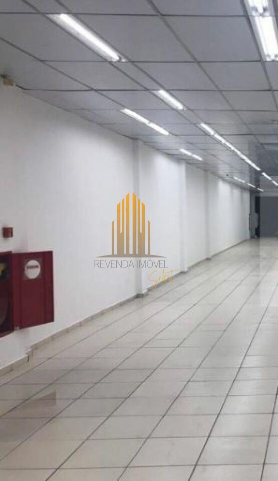 Galpão para Venda - Lapa