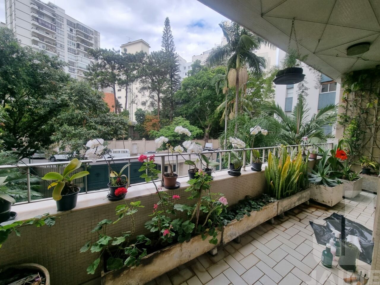 apartamento-venda-sao-paulo-higienopolis-3dormitorios-2suites-4vagas-627m2-BI9130
