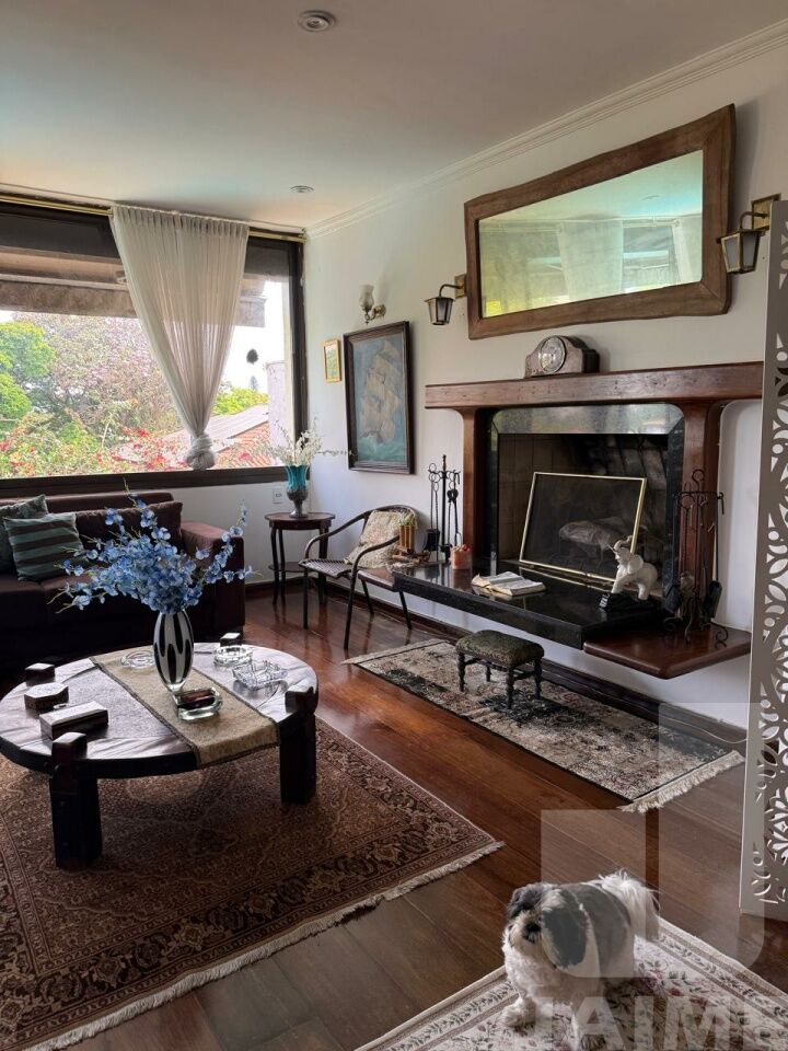 casa-assobradada-venda-sao-paulo-vila-madalena-3dormitorios-1suite-4vagas-446m2-BI9149