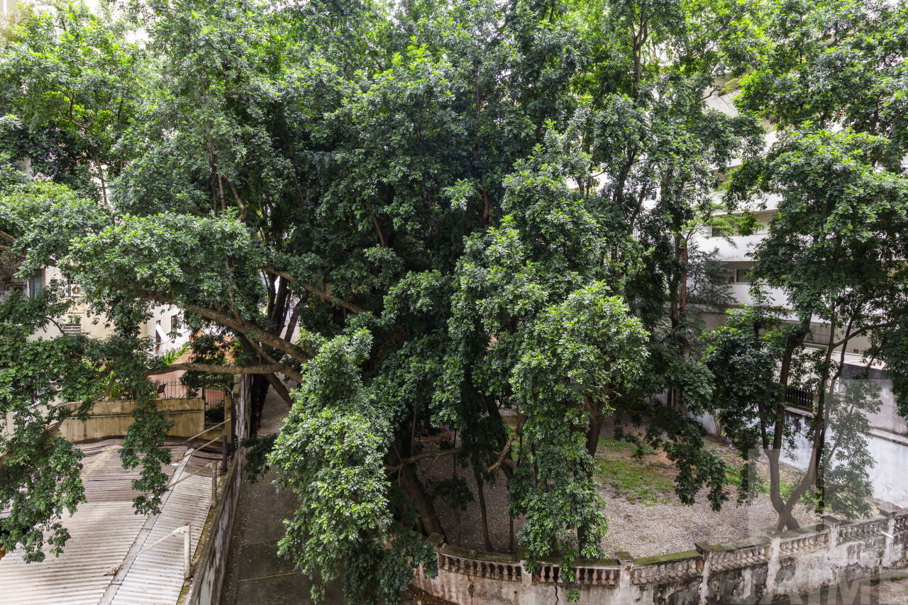 apartamento-venda-sao-paulo-higienopolis-3dormitorios-1suite-1vaga-131m2-BI9242