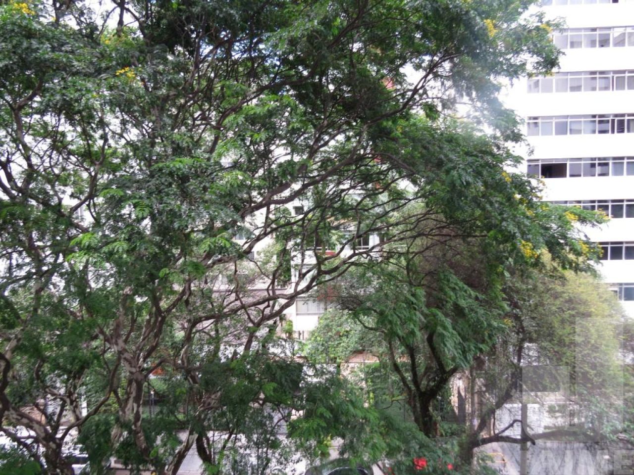 apartamento-venda-sao-paulo-higienopolis-4dormitorios-1suite-2vagas-270m2-JA1469