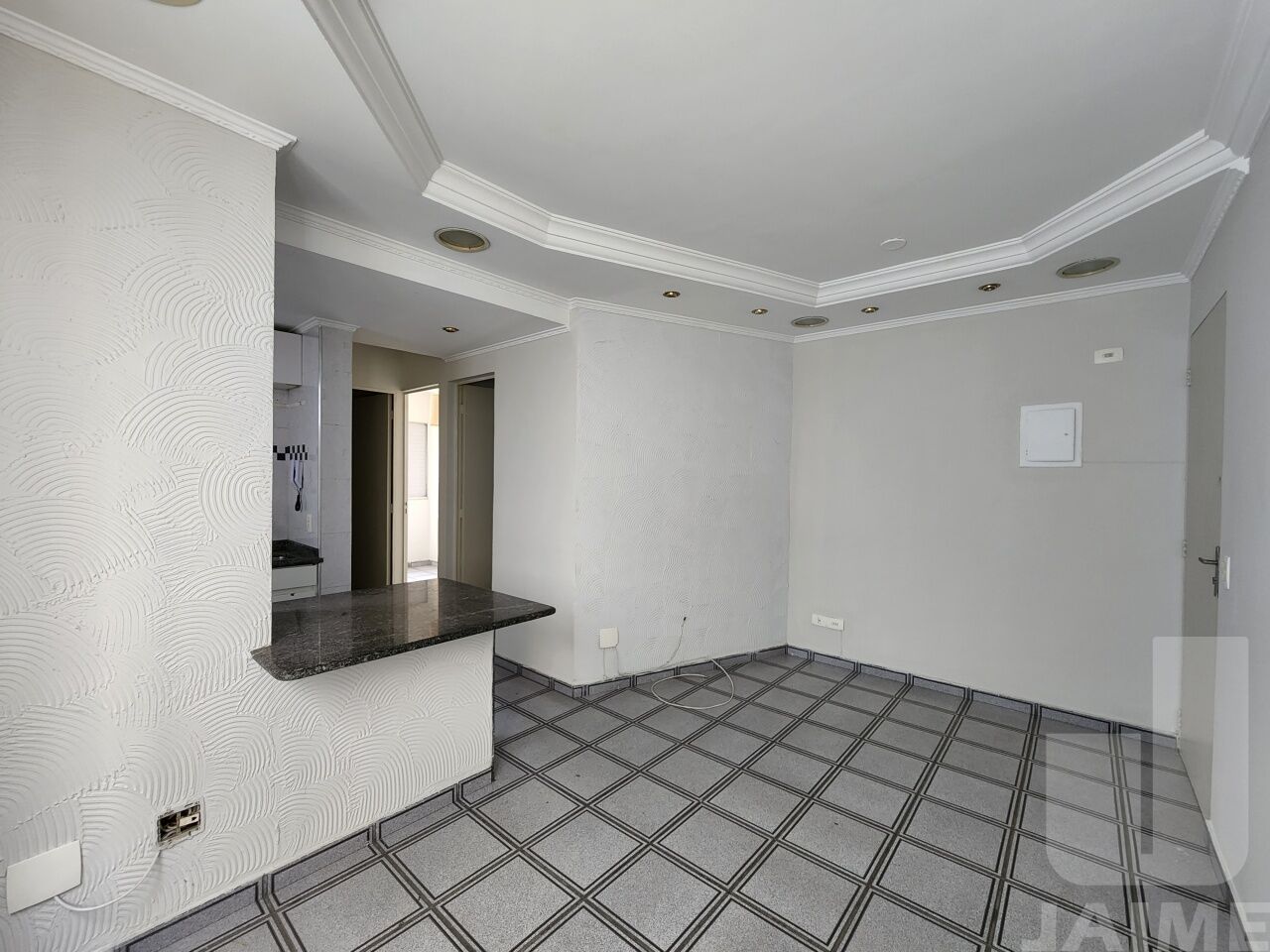 apartamento-venda-sao-paulo-campos-eliseos-2dormitorios-1vaga-48m2-JA40466
