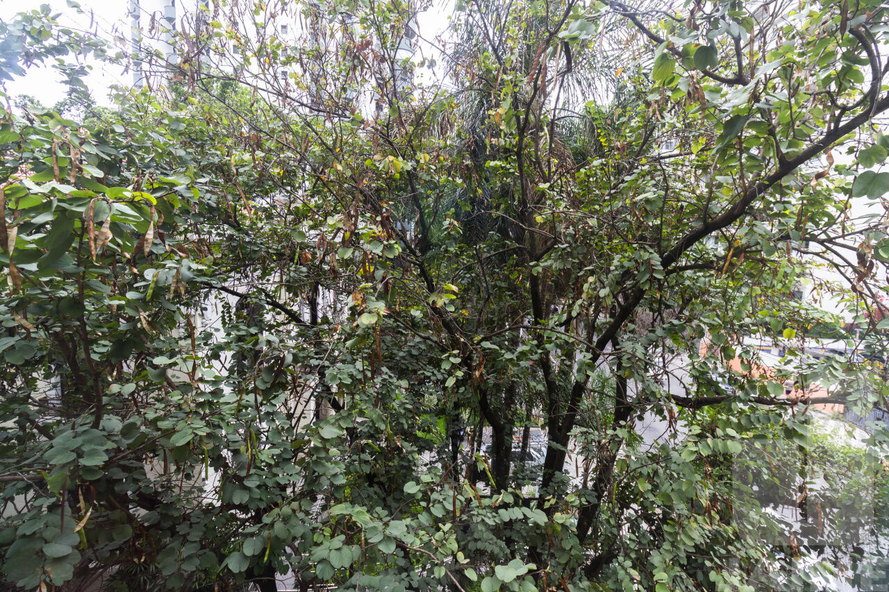 apartamento-locacao-sao-paulo-higienopolis-2dormitorios-2suites-1vaga-125m2-JA6456