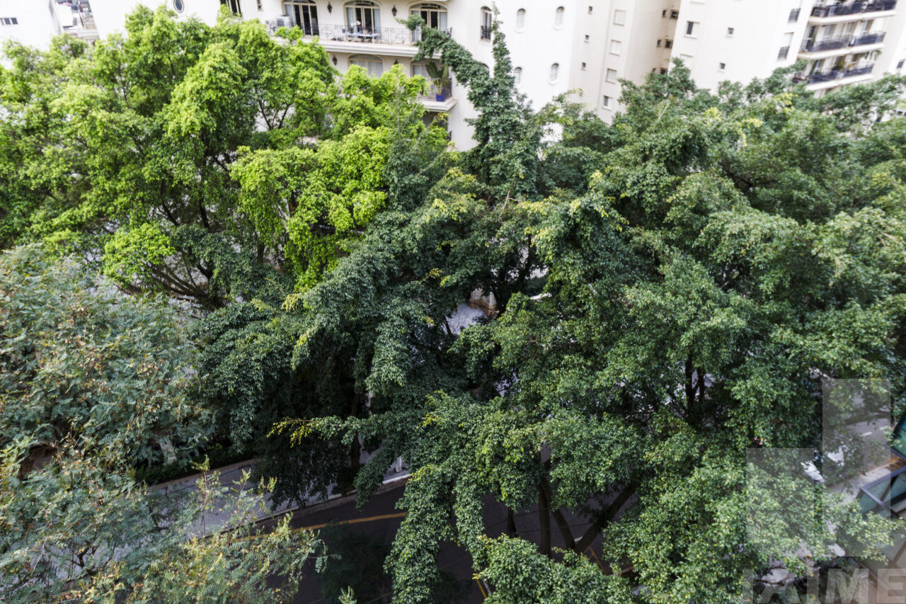 apartamento-venda-sao-paulo-higienopolis-3dormitorios-1suite-3vagas-260m2-JA6654