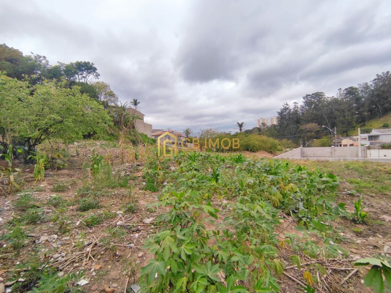 Terreno para Venda - Jardim Caçula