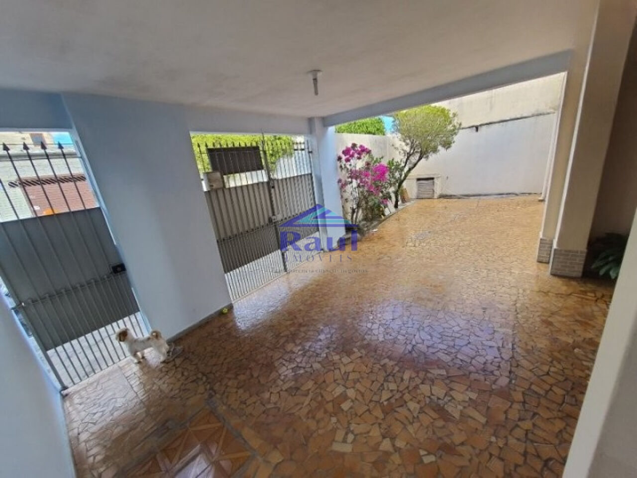 Casa Térrea para Venda - Jardim Boa Vista Zona Sul