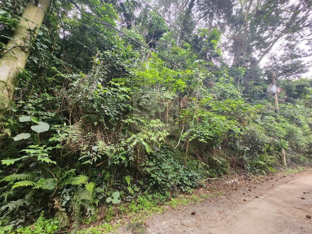 Terreno para Venda - Riviera Paulista