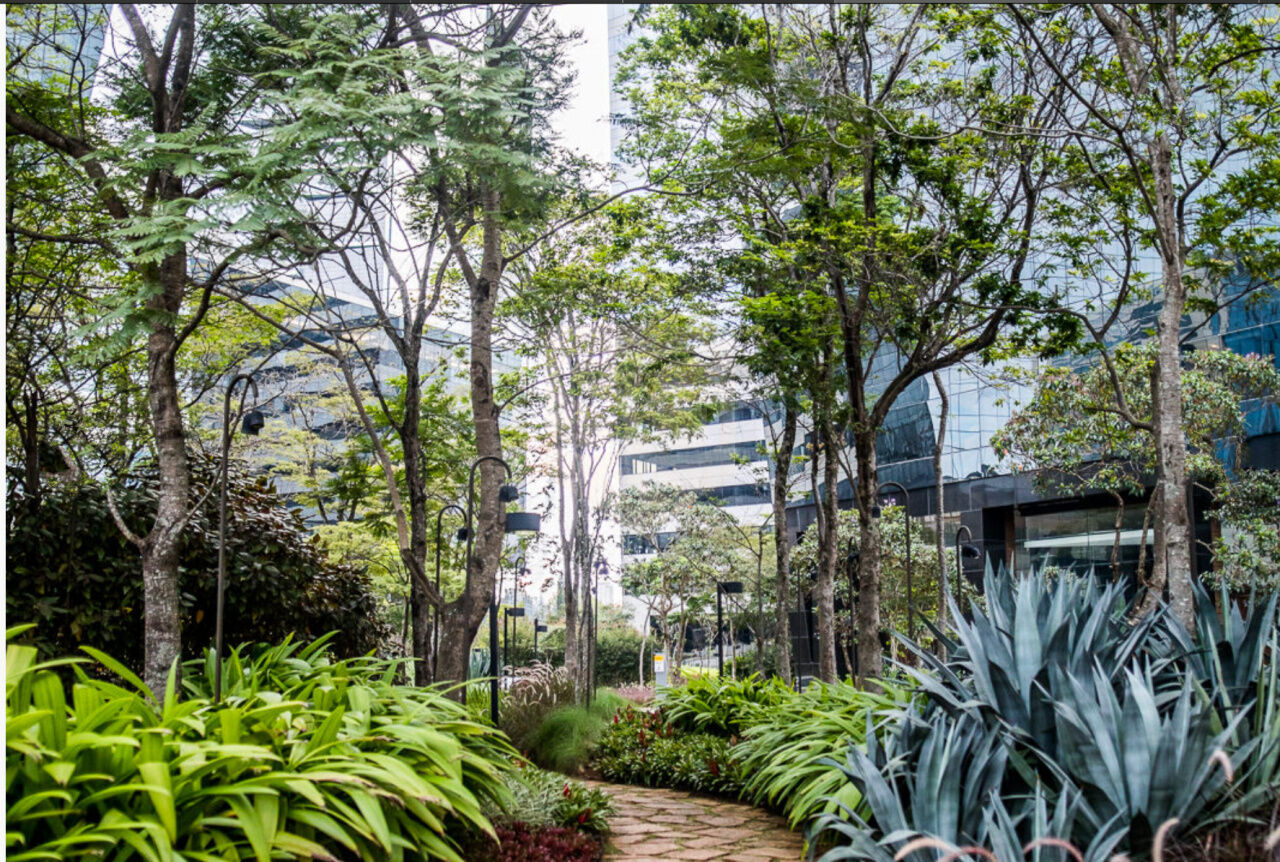 Conj. Comercial para Locação - Vila Almeida