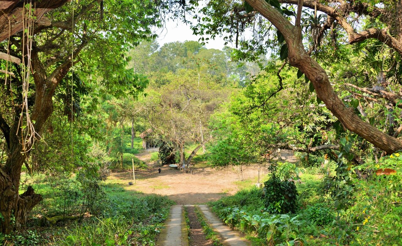 Terreno para Venda - Riviera Paulista