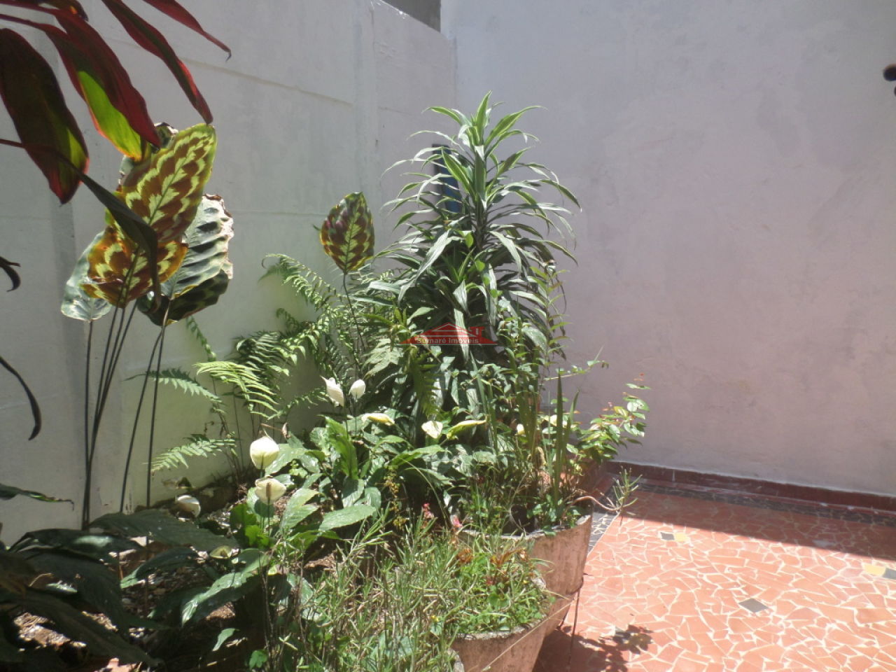 Foto 29 :: Ref.: SU3163