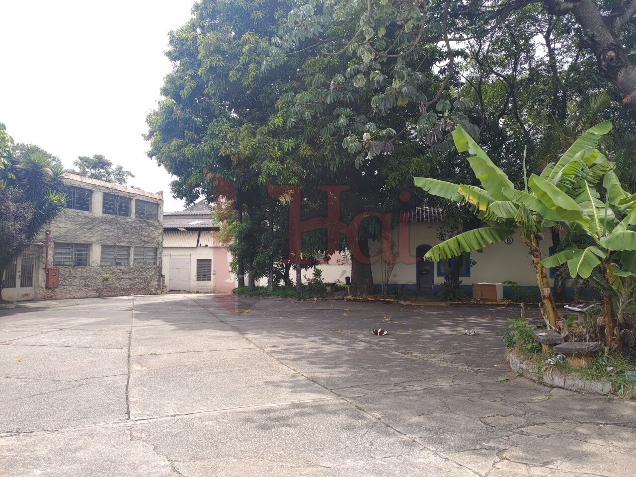 Galpão para Venda - Vila Ribeiro de Barros