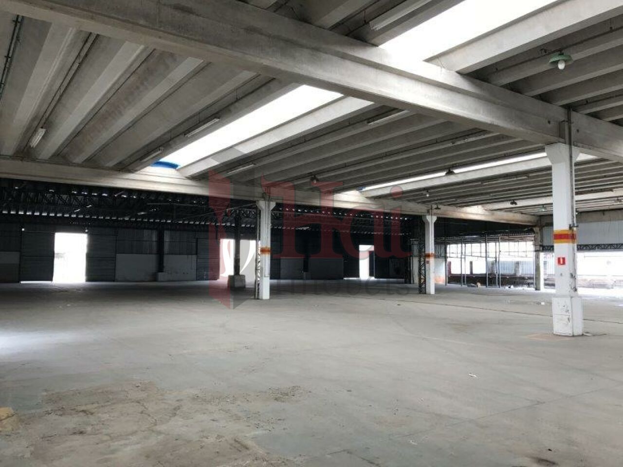 Galpão para Locação - Parque São Lourenço