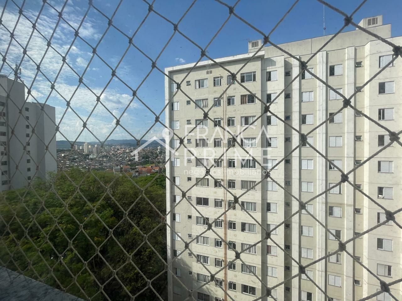 Foto 19