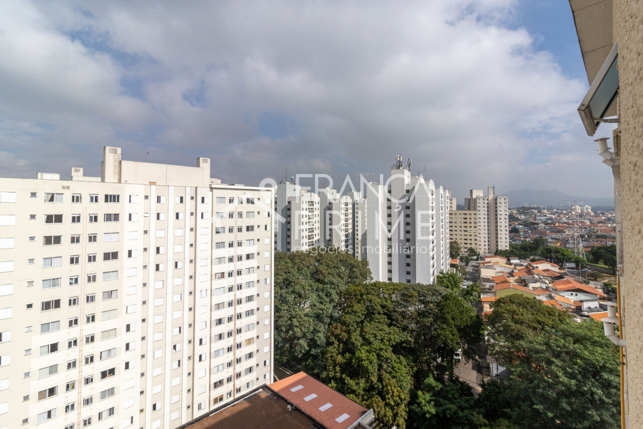 Foto 19