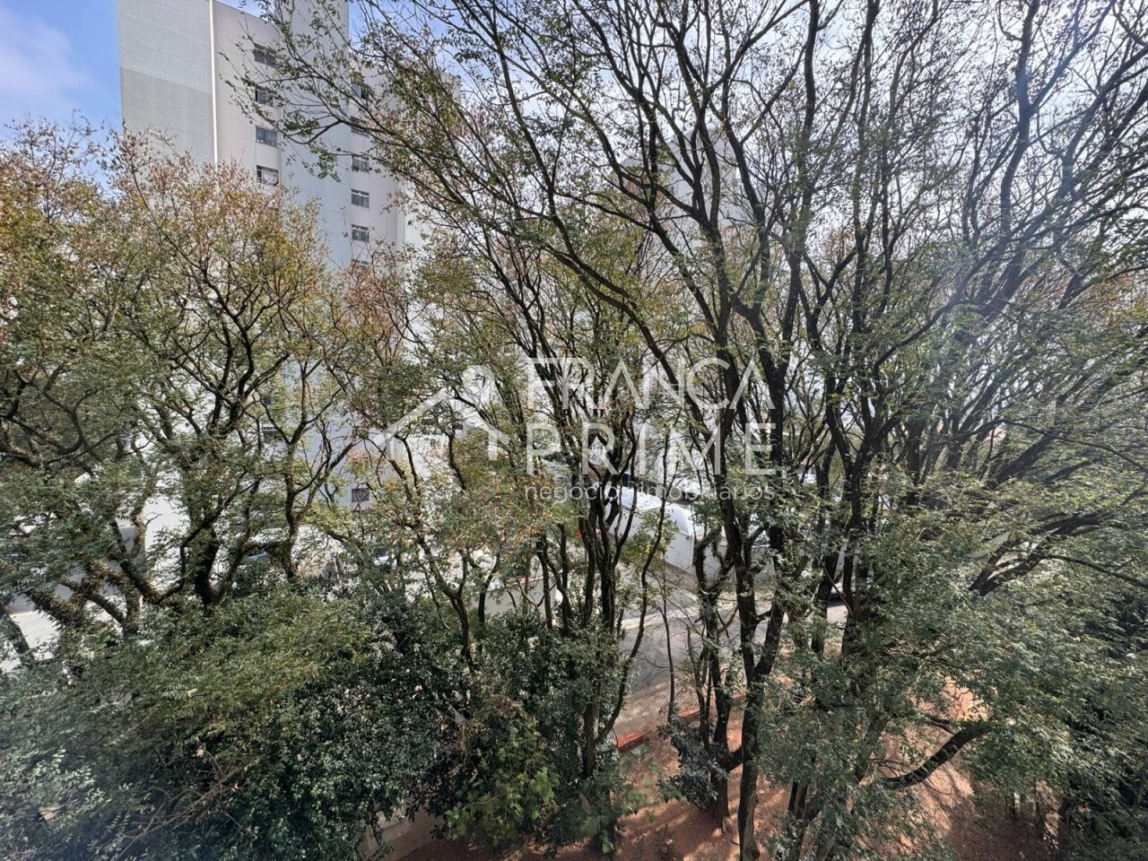 Foto 22