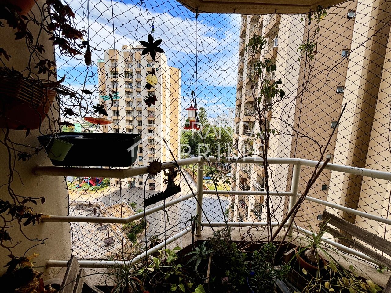 Foto 12