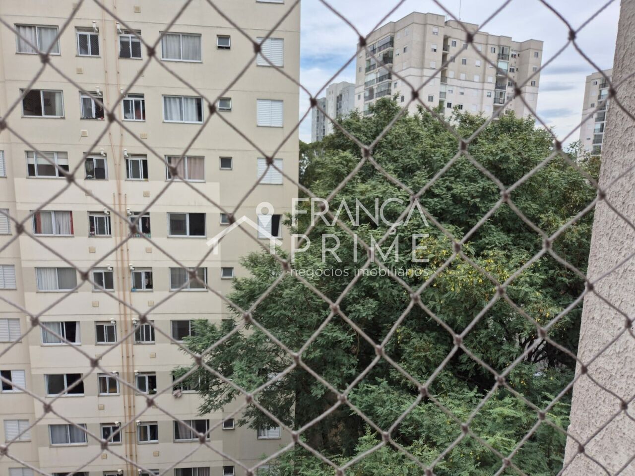 Foto 40