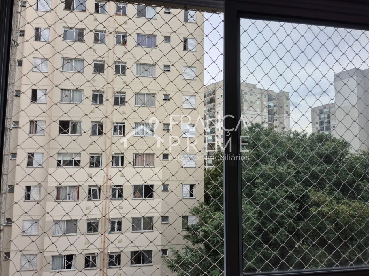 Foto 39