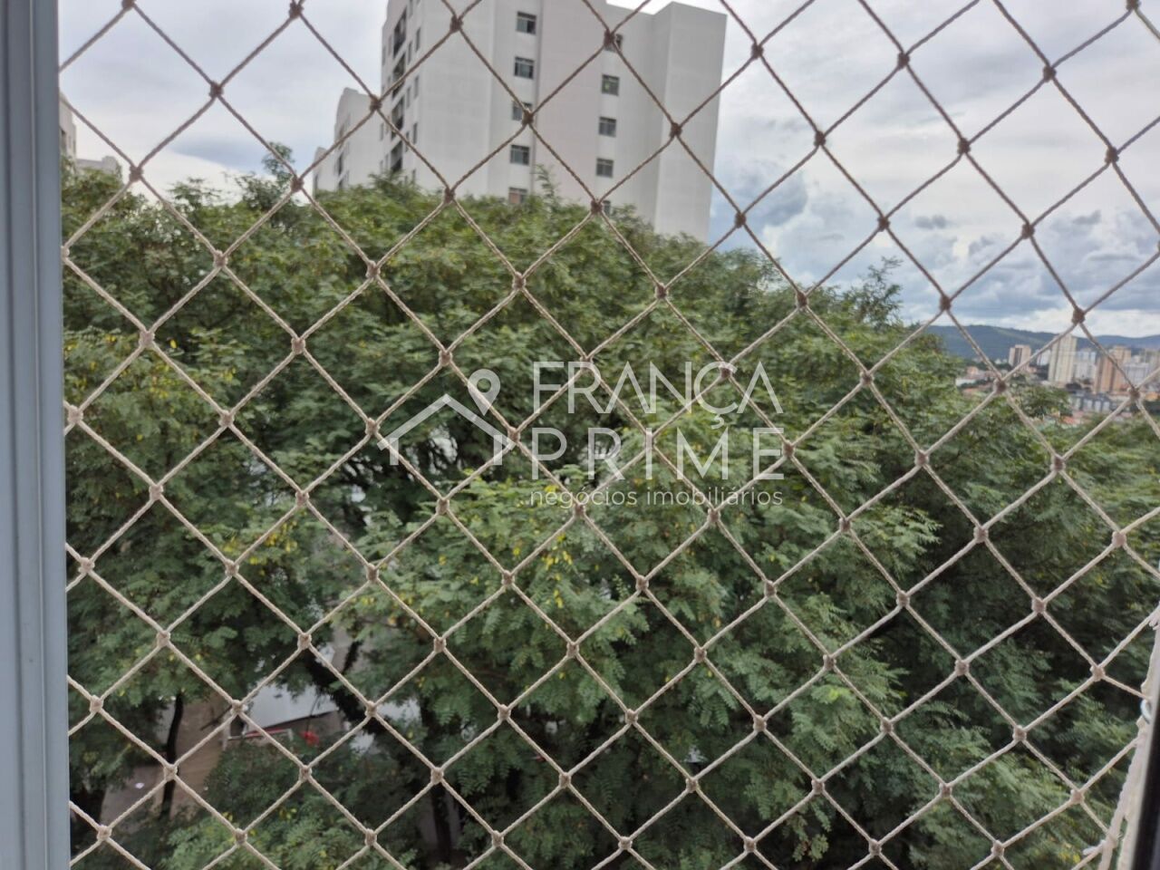 Foto 41