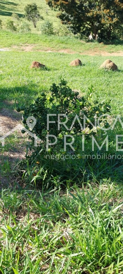 Foto 37