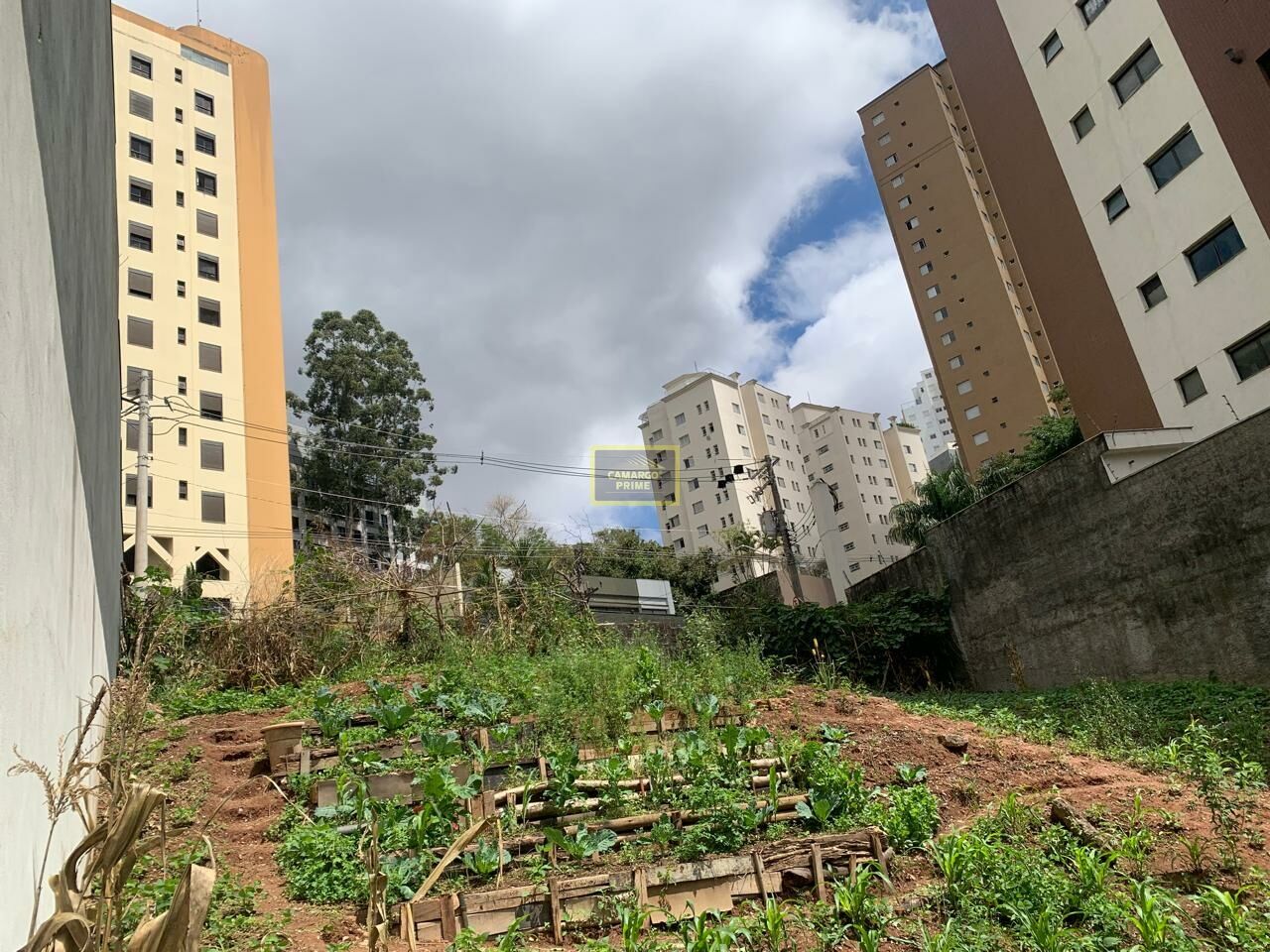 Imóvel