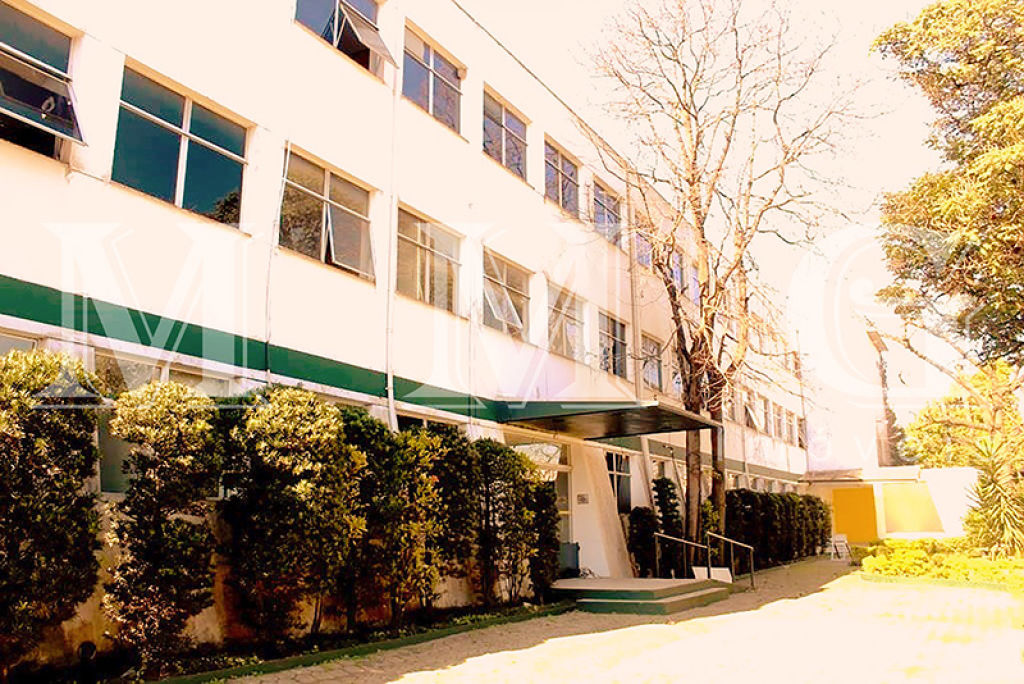 Galpão para Locação - Vila Leopoldina