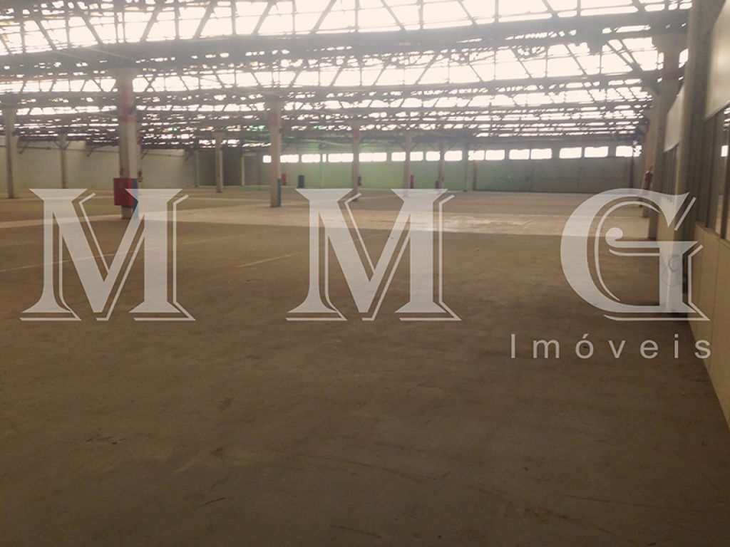 Galpão para Locação - Vila Leopoldina