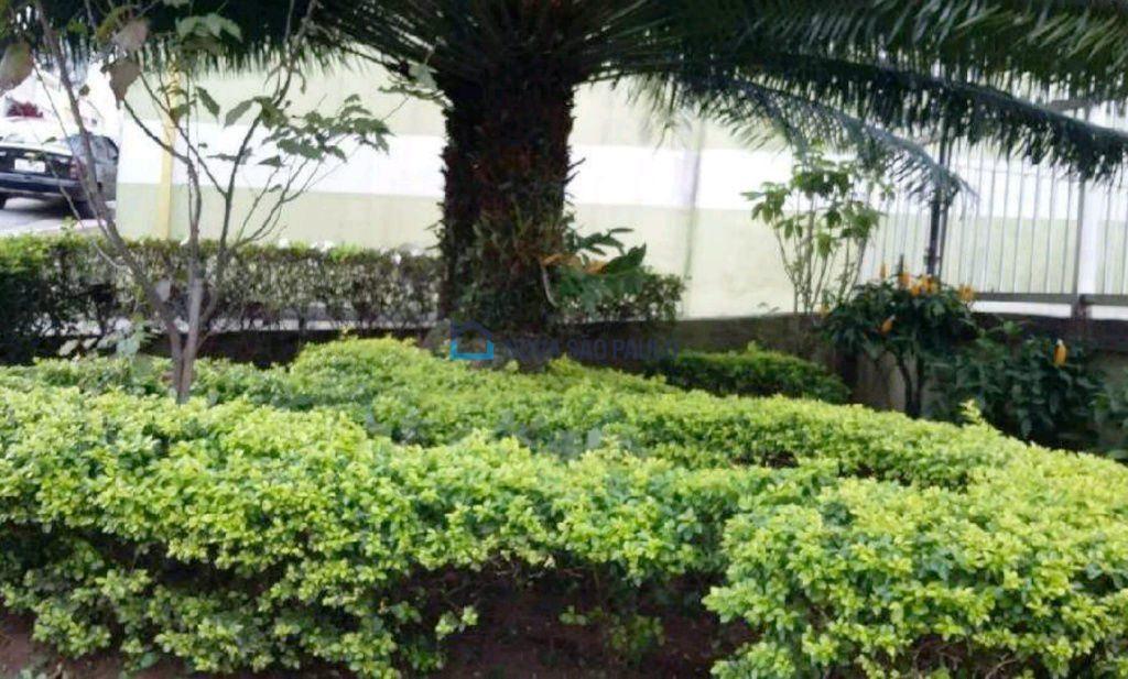APARTAMENTO | VENDAVila Mascote - São Paulo