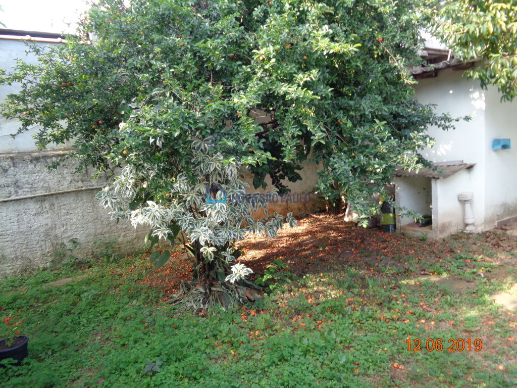 Foto 3 - BI24521
