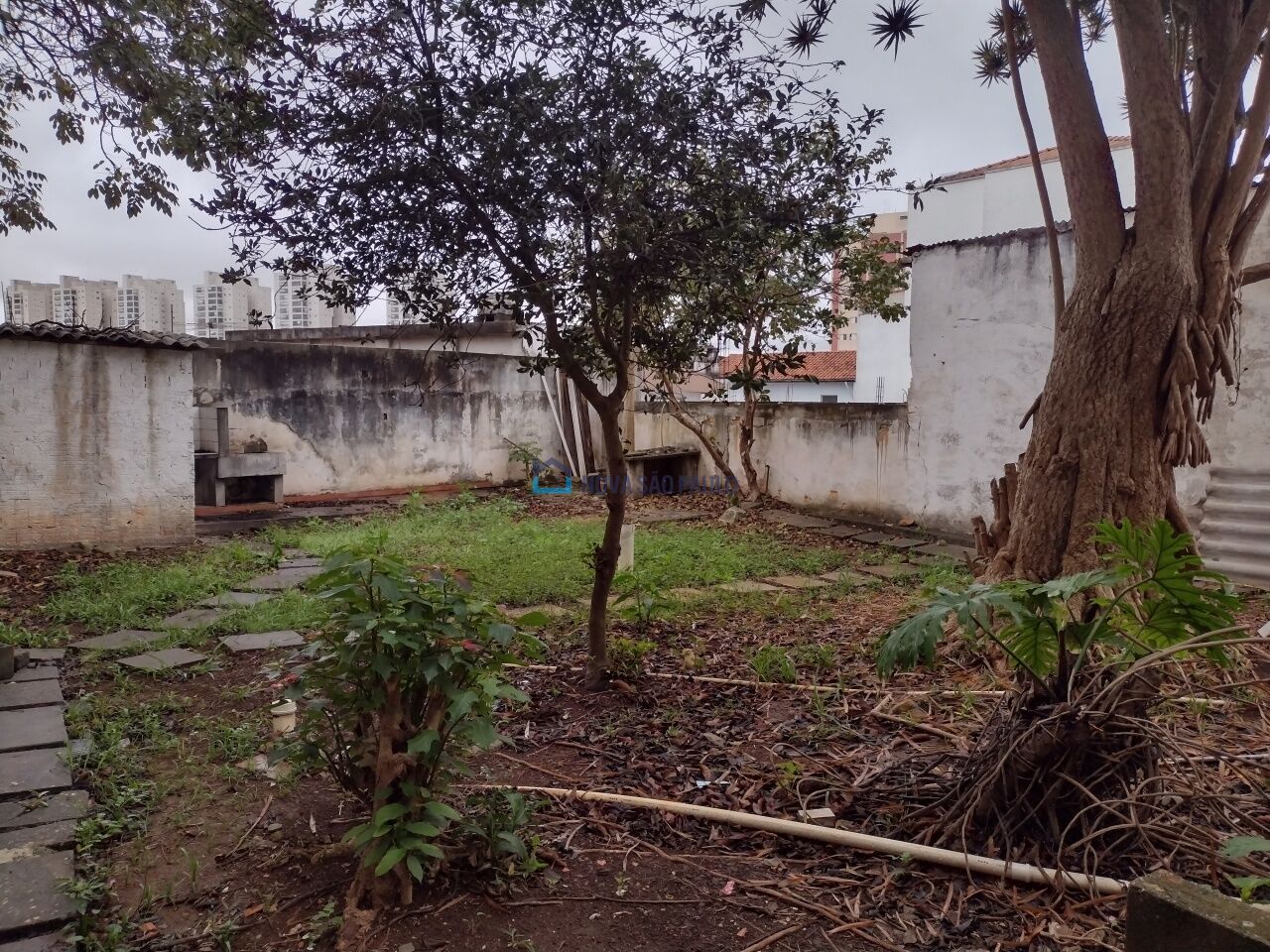 Imóvel