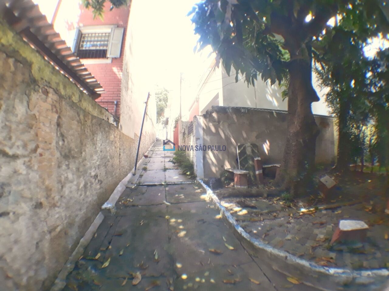 Foto 16 - BI37335