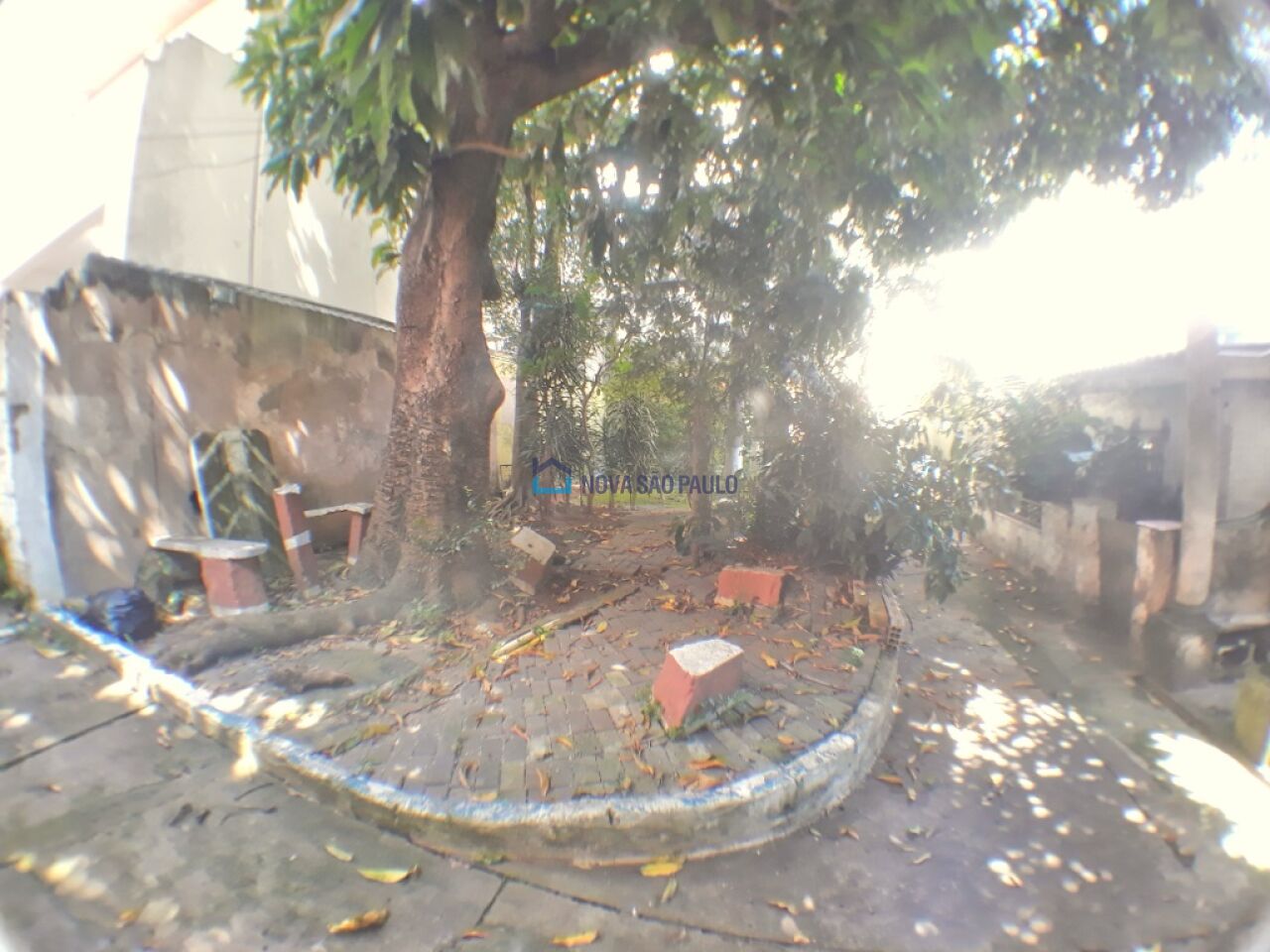 Foto 17 - BI37335