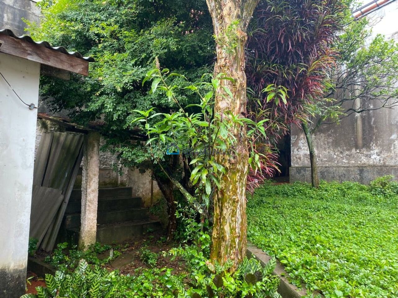 Foto 2 - BI37504