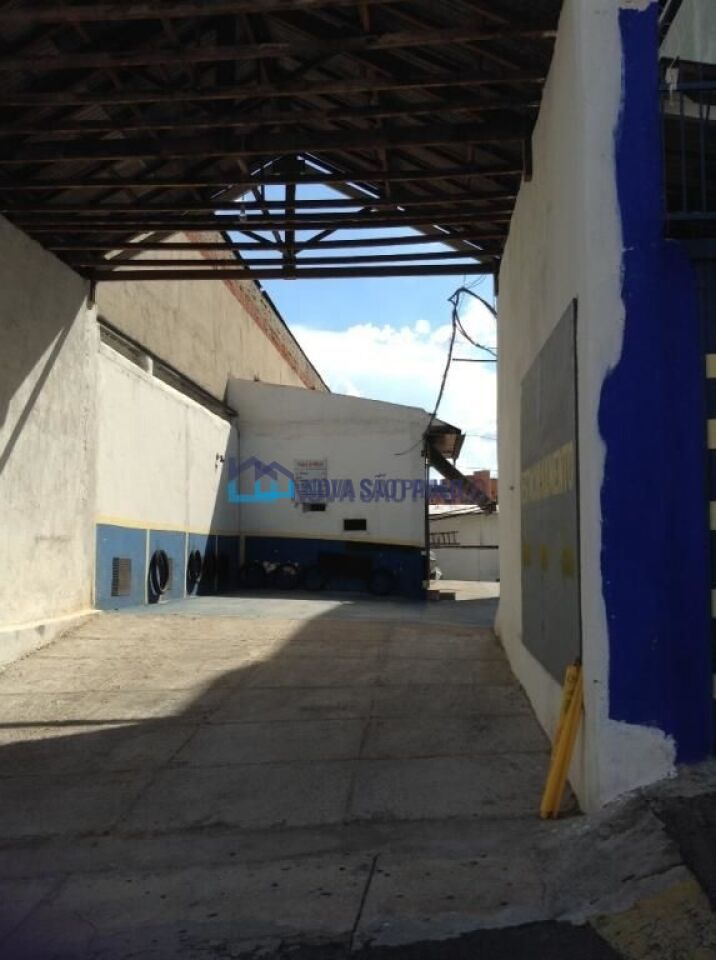 Foto 6 - BI38032