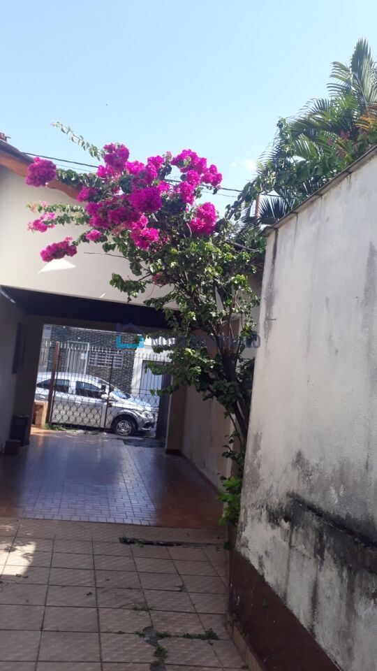 Foto 21 - BI39045