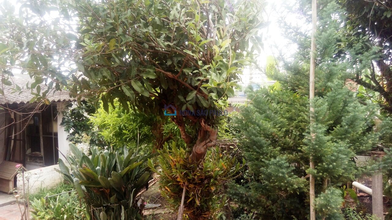 Foto 3 - BI39172