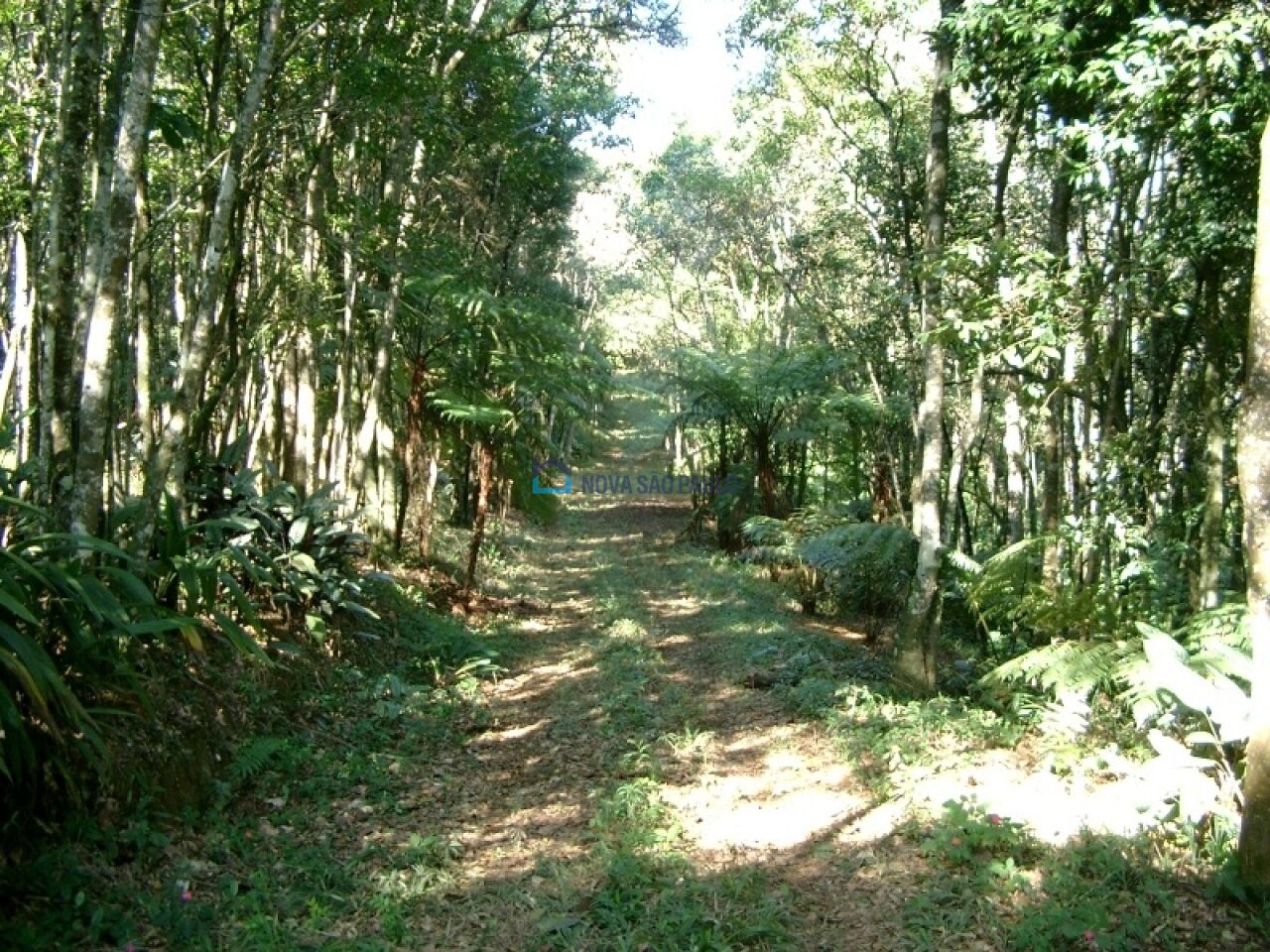 Foto 10 - BI39309