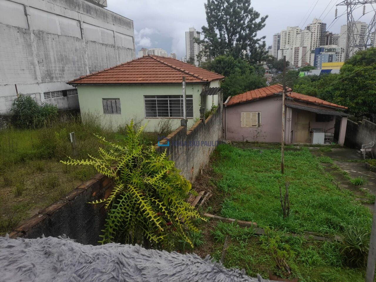 Foto 3 - BI39591